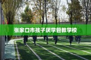 张家口市孩子厌学管教学校