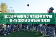 湖北省孝感市青少年特殊教育学校，盘点5家受好评多的素质学校