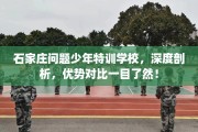 石家庄问题少年特训学校，深度剖析，优势对比一目了然！