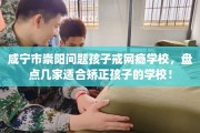 咸宁市崇阳问题孩子戒网瘾学校，盘点几家适合矫正孩子的学校！
