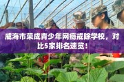 威海市荣成青少年网瘾戒除学校，对比5家排名速览！