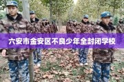 六安市金安区不良少年全封闭学校