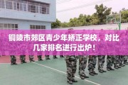 铜陵市郊区青少年矫正学校，对比几家排名进行出炉！