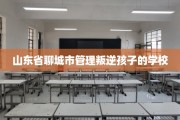 山东省聊城市管理叛逆孩子的学校