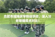 合肥市瑶海厌学特训学校，深入分析明确观点对比！