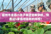 衢州市龙游小孩子叛逆管教学校，快看这5家值得信赖的学校！