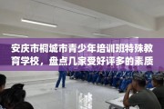 安庆市桐城市青少年培训班特殊教育学校，盘点几家受好评多的素质学校