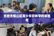 合肥市蜀山区青少年管教学校哪里有