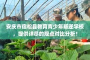 安庆市宿松县教育青少年叛逆学校，提供详尽的观点对比分析！