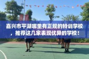 嘉兴市平湖哪里有正规的特训学校，推荐这几家表现优异的学校！