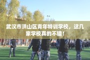 武汉市洪山区青年特训学校，这几家学校真的不错！