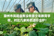滁州市凤阳县有没有青少年教育学校，对比几家排名进行出炉！