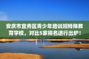 安庆市宜秀区青少年培训班特殊教育学校，对比5家排名进行出炉！