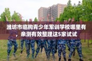 潍坊市临朐青少年军训学校哪里有，亲测有效整理这5家试试
