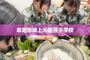 阜阳市颍上问题孩子学校
