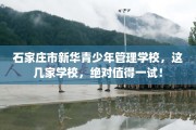 石家庄市新华青少年管理学校，这几家学校，绝对值得一试！