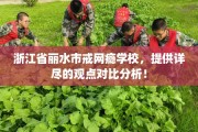 浙江省丽水市戒网瘾学校，提供详尽的观点对比分析！