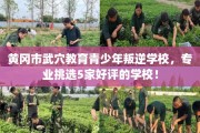 黄冈市武穴教育青少年叛逆学校，专业挑选5家好评的学校！