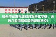 德州市德城叛逆教育军事化学校，筛选几家值得信赖的特训学校！