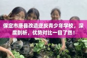 保定市唐县改造逆反青少年学校，深度剖析，优势对比一目了然！