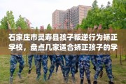 石家庄市灵寿县孩子叛逆行为矫正学校，盘点几家适合矫正孩子的学校！