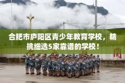 合肥市庐阳区青少年教育学校，精挑细选5家靠谱的学校！