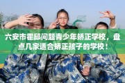 六安市霍邱问题青少年矫正学校，盘点几家适合矫正孩子的学校！