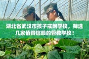 湖北省武汉市孩子戒网学校，筛选几家值得信赖的管教学校！