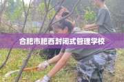 合肥市肥西封闭式管理学校