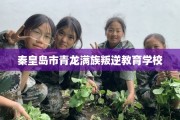 秦皇岛市青龙满族叛逆教育学校