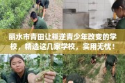 丽水市青田让叛逆青少年改变的学校，精选这几家学校，实用无忧！