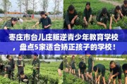 枣庄市台儿庄叛逆青少年教育学校，盘点5家适合矫正孩子的学校！