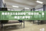 孝感市汉川全封闭专门管教学校，强推这几家学校！