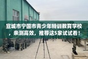 宣城市宁国市青少年特训教育学校，亲测高效，推荐这5家试试看！