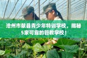 沧州市献县青少年特训学校，揭秘5家可靠的管教学校！