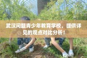 武汉问题青少年教育学校，提供详见的观点对比分析！
