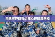 合肥市庐阳青少年心理辅导学校