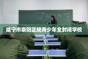咸宁市崇阳正规青少年全封闭学校