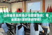 山东省青岛市青少年管理学校，专业挑选5家好评的学校！