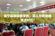 咸宁戒除网瘾学校，深入分析明确观点对比！