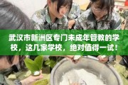 武汉市新洲区专门未成年管教的学校，这几家学校，绝对值得一试！