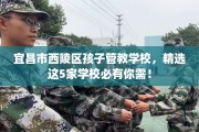 宜昌市西陵区孩子管教学校，精选这5家学校必有你需！