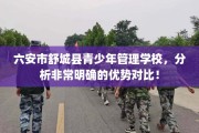 六安市舒城县青少年管理学校，分析非常明确的优势对比！