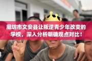 廊坊市文安县让叛逆青少年改变的学校，深入分析明确观点对比！