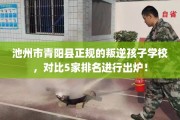 池州市青阳县正规的叛逆孩子学校，对比5家排名进行出炉！
