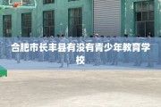 合肥市长丰县有没有青少年教育学校