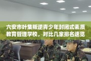 六安市叶集叛逆青少年封闭式素质教育管理学校，对比几家排名速览！