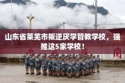 山东省莱芜市叛逆厌学管教学校，强推这5家学校！