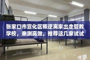 张家口市宣化区叛逆离家出走管教学校，亲测高效，推荐这几家试试看！