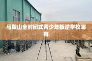 马鞍山全封闭式青少年叛逆学校哪有